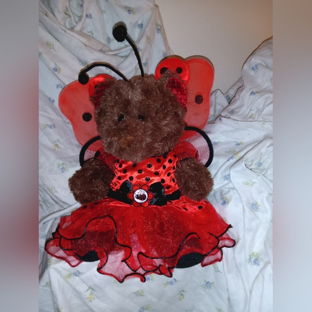 Fancy Ladybug - Picture 7 of 9
